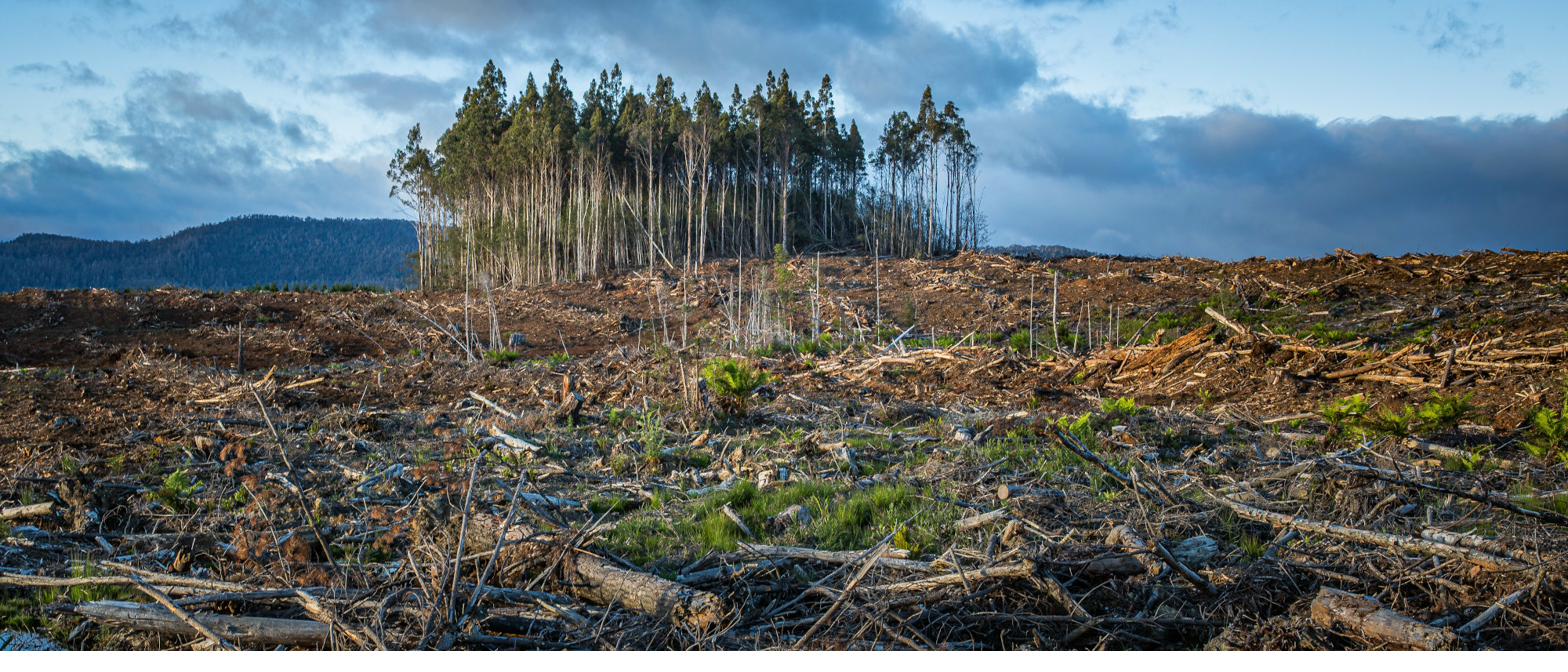 Climate Action
